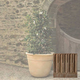 Campania Carema Planter, XLG - P-832