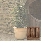 Campania Carema Planter, XLG - P-832