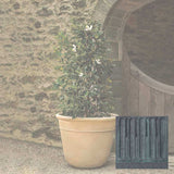 Campania Carema Planter, XLG - P-832