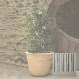 Campania Carema Planter, XLG - P-832