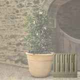 Campania Carema Planter, XLG - P-832