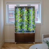 Just Vertical The ECO Living Green Wall