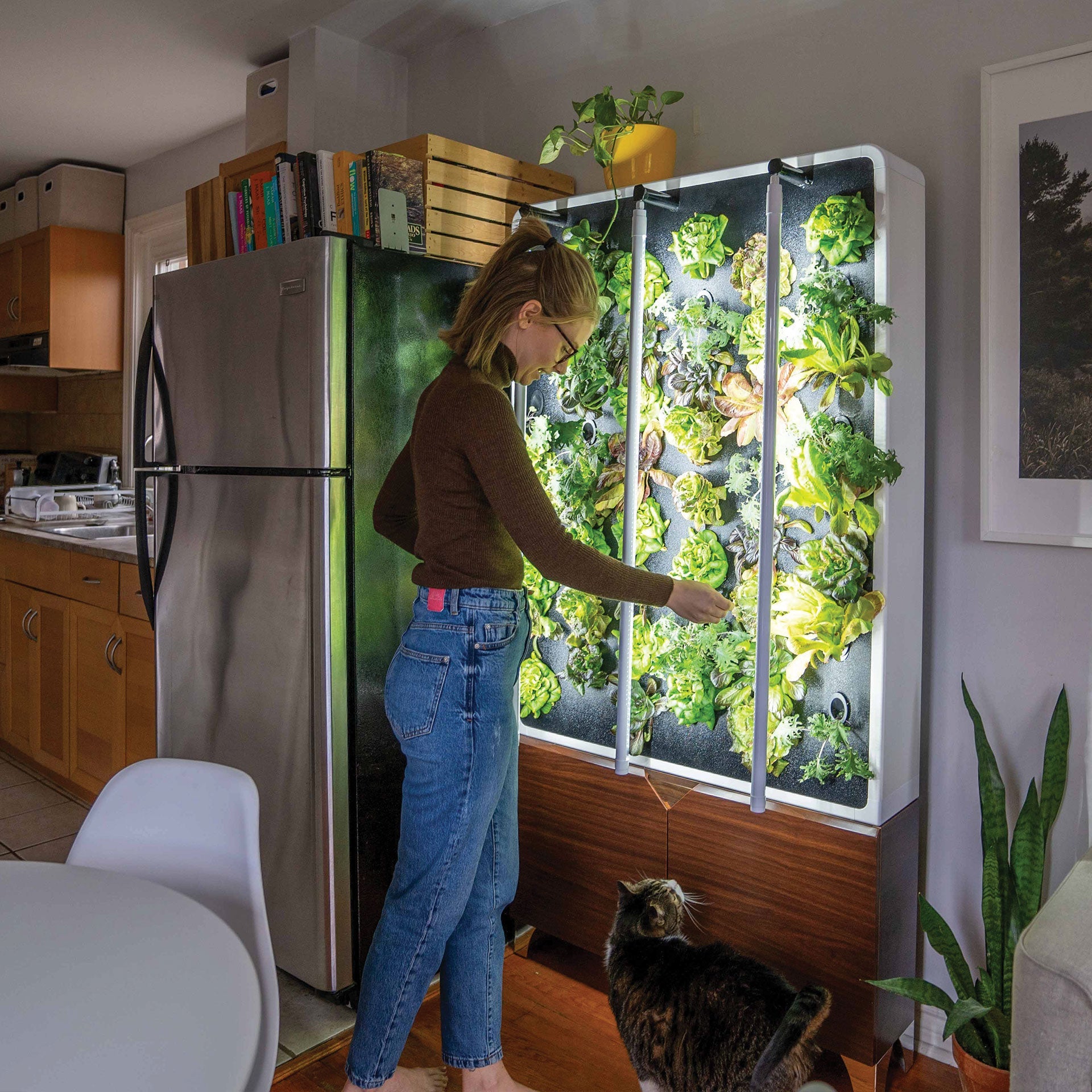 Just Vertical The ECO Living Green Wall – Distinct Designs