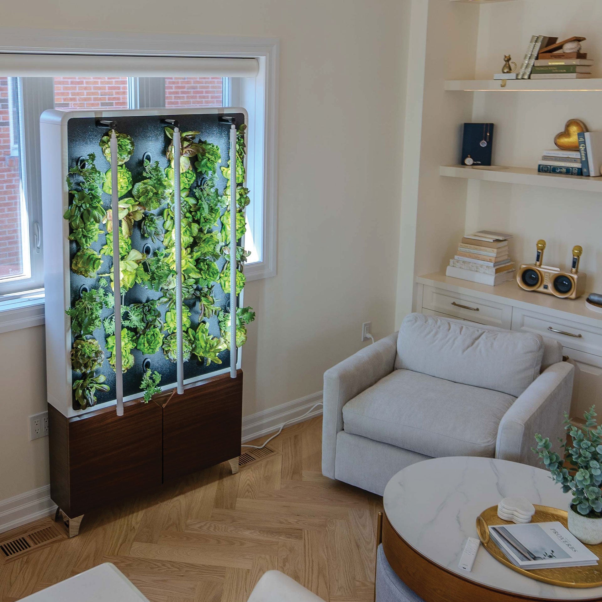 Just Vertical The ECO Living Green Wall – Distinct Designs