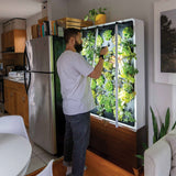 Just Vertical The ECO Living Green Wall