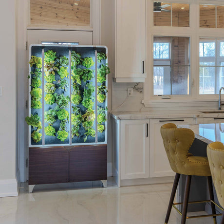 Just Vertical The ECO Living Green Wall