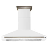 Forno Aria 60 Inch Wall-Mounted Range Hood