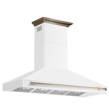 Forno Aria 60 Inch Wall-Mounted Range Hood