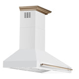 Forno Aria 60 Inch Wall-Mounted Range Hood