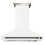 Forno Aria 48 Inch Wall-Mounted Range Hood