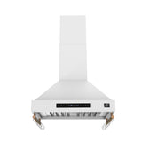 Forno Venezia 30 Inch Wall-Mounted Range Hood with Touch Controls and Baffle Filters