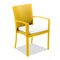 Kannoa Dining Chair - Citrine Yellow