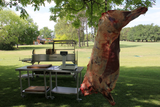 Tagwood BBQ Argentine Santa Maria Wood Fire & Charcoal Gaucho Grill | BBQ26SS --