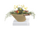 The Outdoor Plus Cazo Concrete Planter Bowl with Water