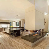 The Bio Flame Ethanol Smart Burner