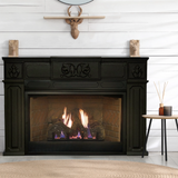 Empire Medium 28" Innsbrook Vent-Free Gas Insert -VBPC28IN31
