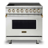 Viking 5 Series 36 inch Induction Self-Clean Range with 6 Elements (Stainless Steel with Brass) - VIR53626BSSBB