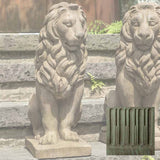 Campania Sentry Lion Garden Statue - A-651 SET