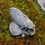 Campania Cicada Garden Statue - A-659
