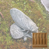 Campania Cicada Garden Statue - A-659