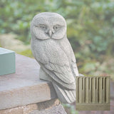 Campania Lunar Owl - Owl Only Garden Statue - A-667A