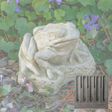 Campania Forest Frog Garden Statue - A-672