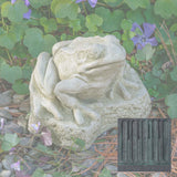 Campania Forest Frog Garden Statue - A-672