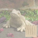 Campania Tommy Toad Garden Statue - A-674