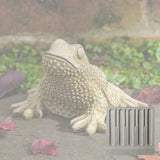 Campania Tommy Toad Garden Statue - A-674