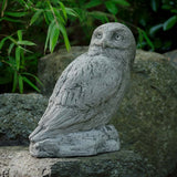 Campania Polar Owl Garden Statue - A-679