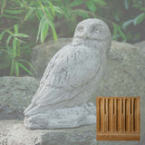 Campania Polar Owl Garden Statue - A-679