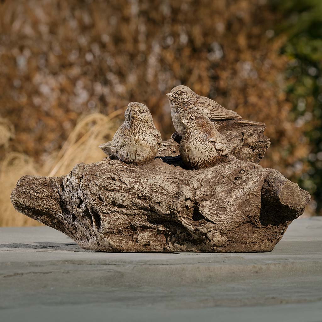 Campania Birdland Garden Statue - A-682