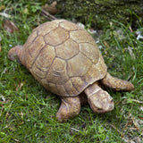 Campania Turtle  Garden Statue - A-071