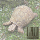 Campania Turtle  Garden Statue - A-071