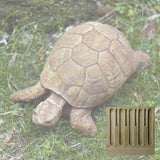 Campania Turtle  Garden Statue - A-071