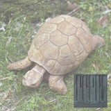 Campania Turtle  Garden Statue - A-071