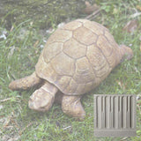 Campania Turtle  Garden Statue - A-071