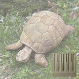 Campania Turtle  Garden Statue - A-071