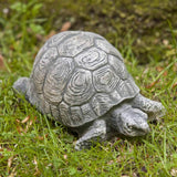 Campania Small Turtle Garden Statue - A-093