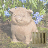 Campania Piglet Garden Statue - A-099