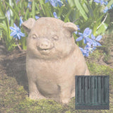 Campania Piglet Garden Statue - A-099