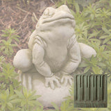 Campania Frankie the Frog Garden Statue - A-239