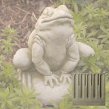 Campania Frankie the Frog Garden Statue - A-239
