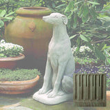 Campania Greyhound Garden Statue - A-240