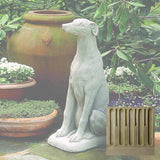 Campania Greyhound Garden Statue - A-240