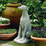 Campania Greyhound Garden Statue - A-240