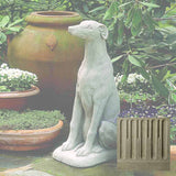 Campania Greyhound Garden Statue - A-240