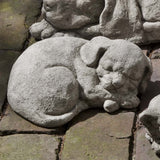 Campania Curled Dog, Small Garden Statue - A-255