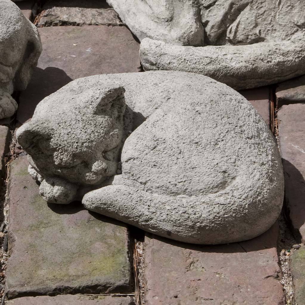 Campania Curled Cat, Small Garden Statue - A-256