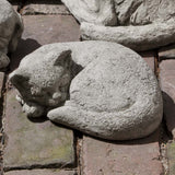 Campania Curled Cat, Small Garden Statue - A-256